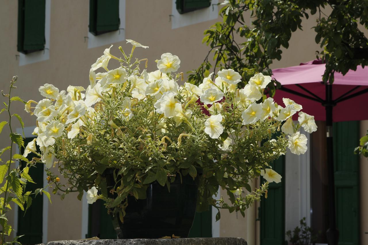 Hotel Carmel Les Vans Exterior foto